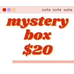 $20 Mystery Box SOMETHING VERY CUTE!!